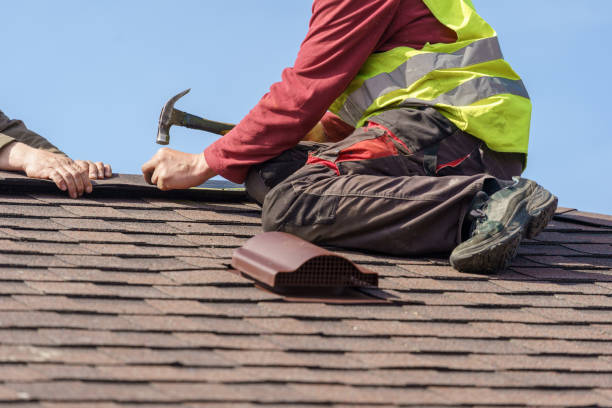 Best Metal Roofing Contractor  in Hawkinsville, GA