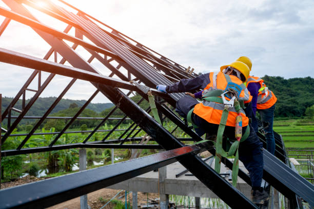 Professional Roofing Contractor in Hawkinsville, GA