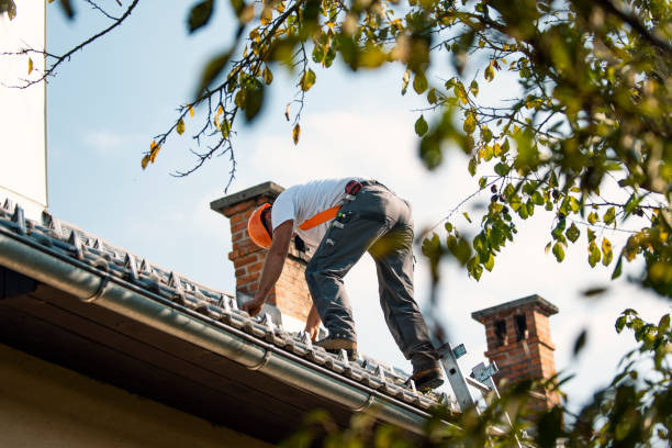 Best Flat Roof Repair Services  in Hawkinsville, GA