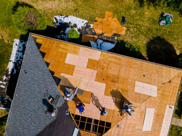 Best Local Roofing Companies  in Hawkinsville, GA