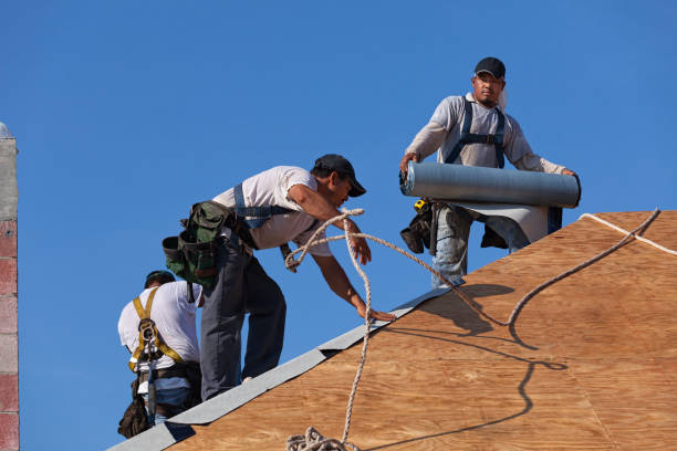 Best Shingle Roofing Installation  in Hawkinsville, GA