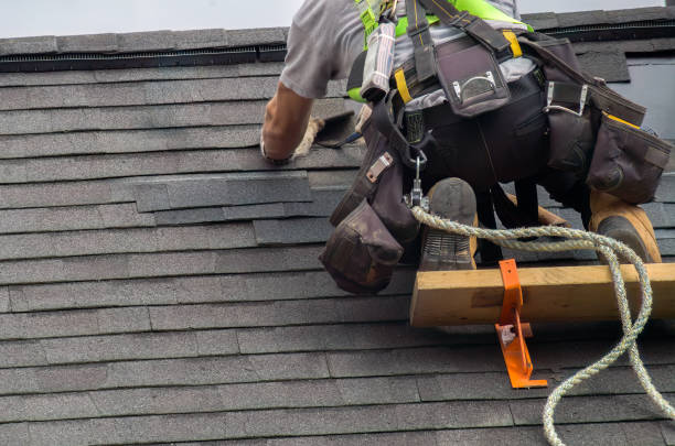 Best Gutter Installation and Roofing  in Hawkinsville, GA