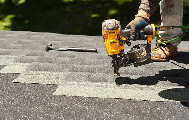 Best Roof Gutter Cleaning  in Hawkinsville, GA