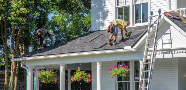 Best Metal Roofing Contractor  in Hawkinsville, GA
