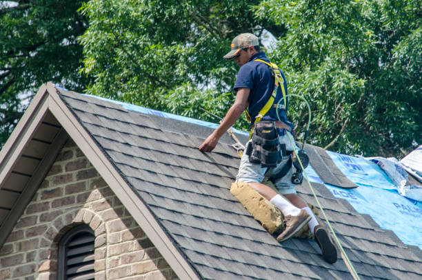 Best Gutter Installation and Roofing  in Hawkinsville, GA